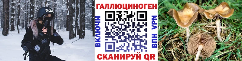 Псилоцибиновые грибы мицелий  Каменск-Уральский 