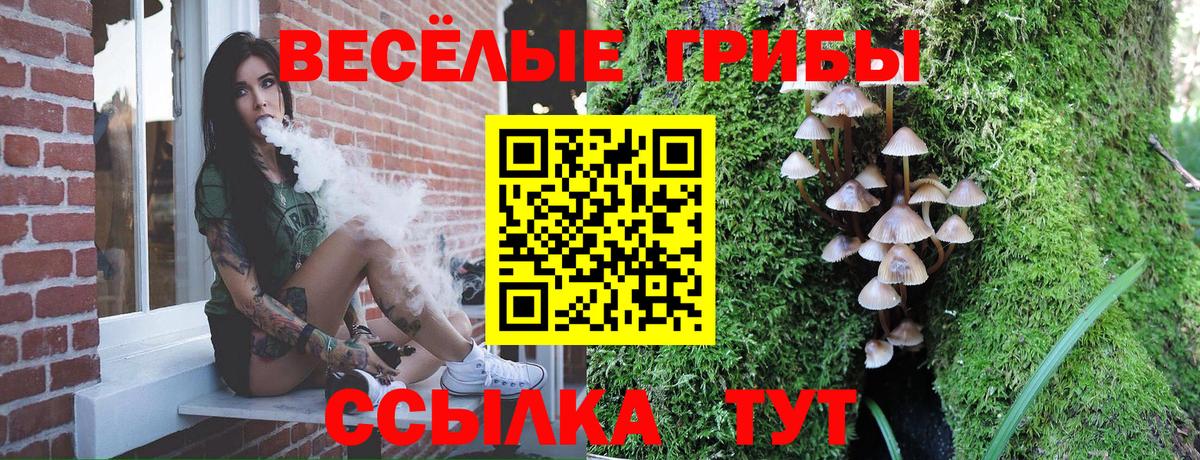Псилоцибиновые грибы GOLDEN TEACHER Каменск-Уральский