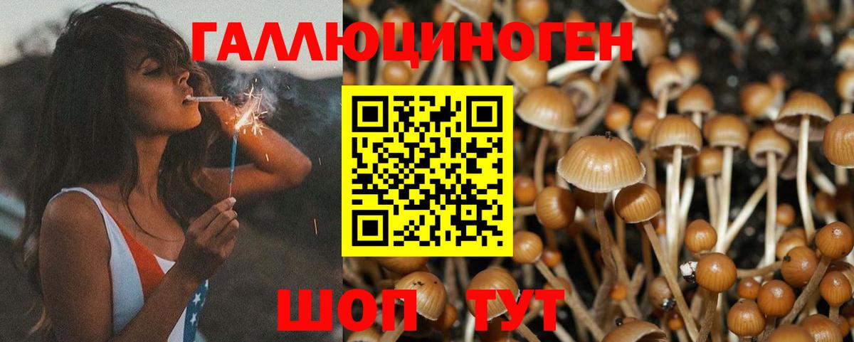 Псилоцибиновые грибы мицелий  Вход с VPN  Каменск-Уральский 
